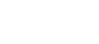 Transrep